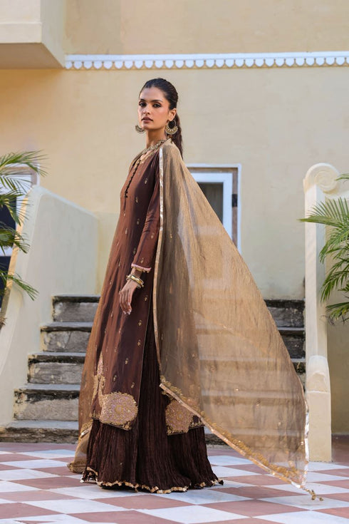 Riwayat brown straight kurta set