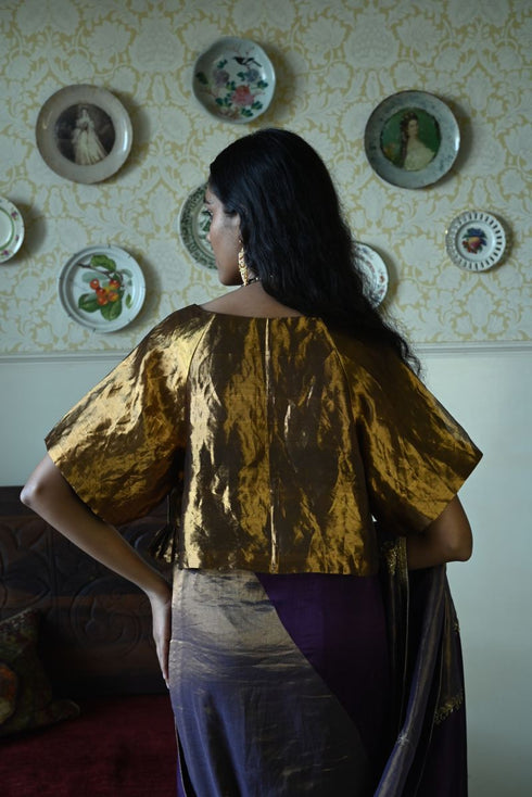Roshnee charulata gold tissue blouse