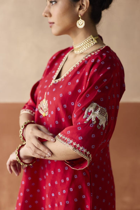 Royal elephant ruby red kaftan set