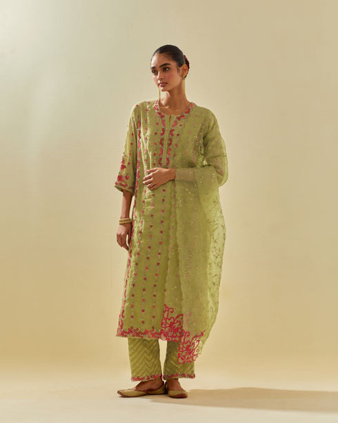 Rukmini green paneled kurta set