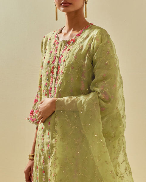 Rukmini green paneled kurta set