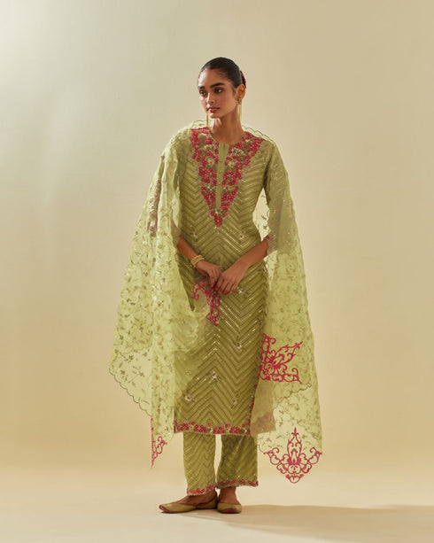 Rukmini green tissue chanderi kurta set