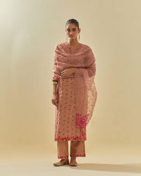 Rukmini pink paneled kurta set