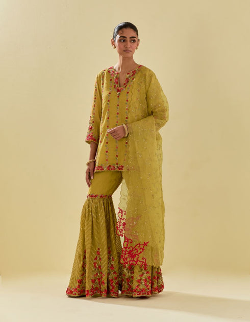 Rukmini yellow farshi set