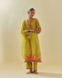 Rukmini yellow paneled kurta set