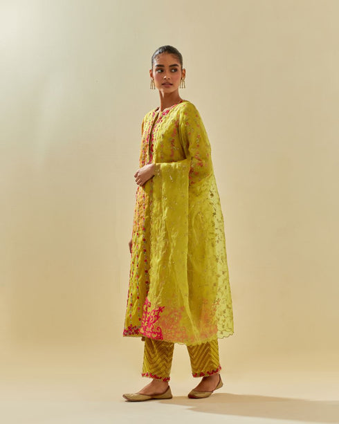 Rukmini yellow paneled kurta set