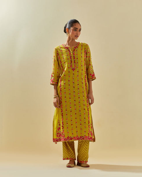 Rukmini yellow paneled kurta set