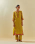 Rukmini yellow paneled kurta set