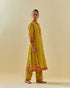 Rukmini yellow paneled kurta set