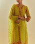 Rukmini yellow paneled kurta set