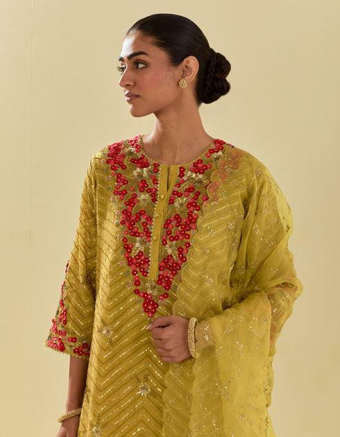 Rukmini yellow tissue chanderi kurta set