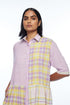 Setigera multicolor check dress