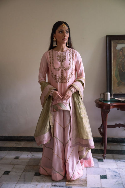 Shalimar Bagh blush pink maala kurta with gharara