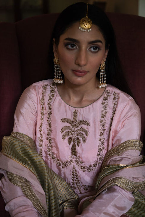 Shalimar Bagh blush pink maala kurta with gharara