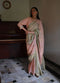 Shalimar Bagh pista green and pink chinar sari
