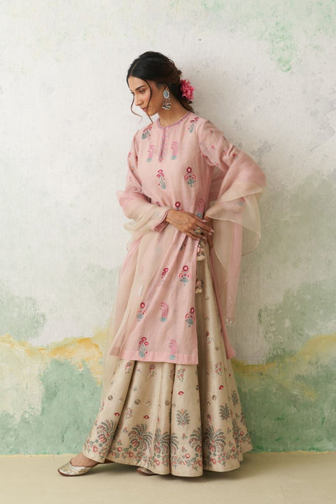 Toosh and soft pink dupion printed with hand kashmiri embroidered lehenga set
