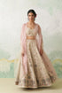 Toosh and soft pink dupion printed with hand kashmiri embroidered lehenga set
