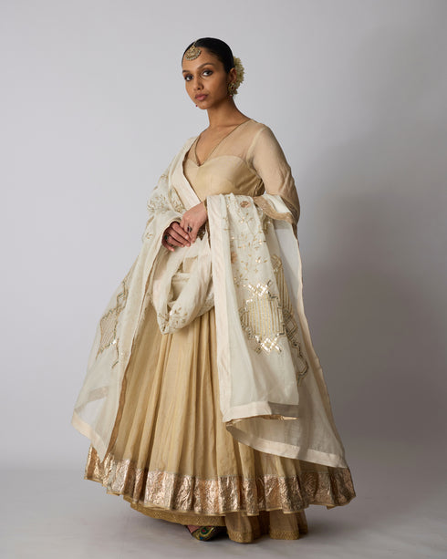 Tulsi anarkali set