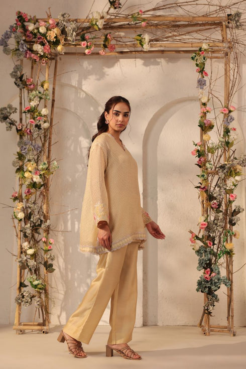 Vaayu beige applique co-ord set