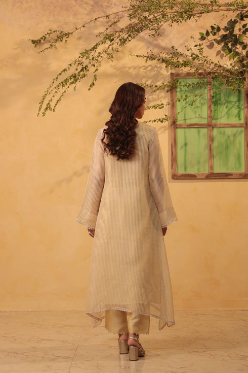 Vaayu beige applique yoke kurta set