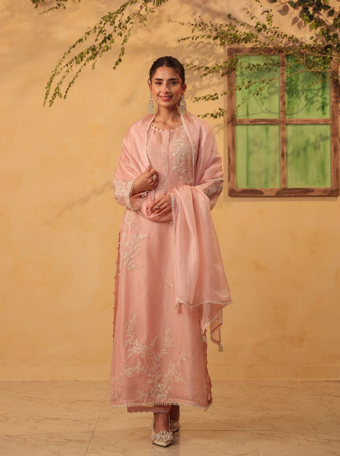 Vaayu light pink jaal straight kurta set