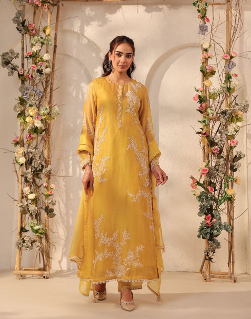 Vaayu yellow jaal straight kurta set