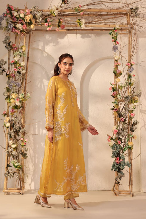 Vaayu yellow jaal straight kurta set