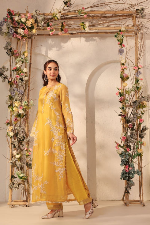Vaayu yellow jaal straight kurta set