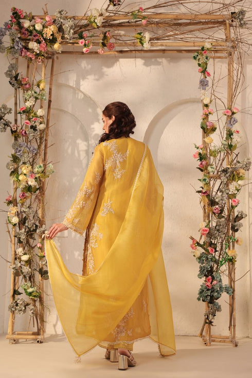 Vaayu yellow jaal straight kurta set