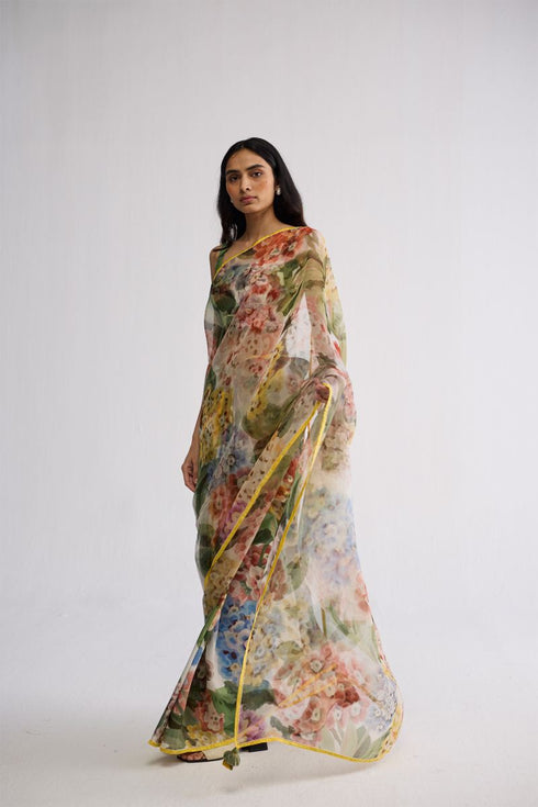 Veranda silk and organza sari