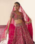Vryata red lehenga set