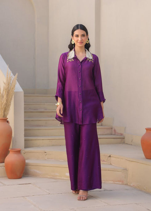 Zardozi pankh co-ord set