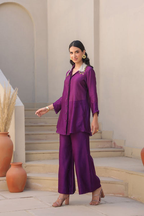 Zardozi pankh co-ord set