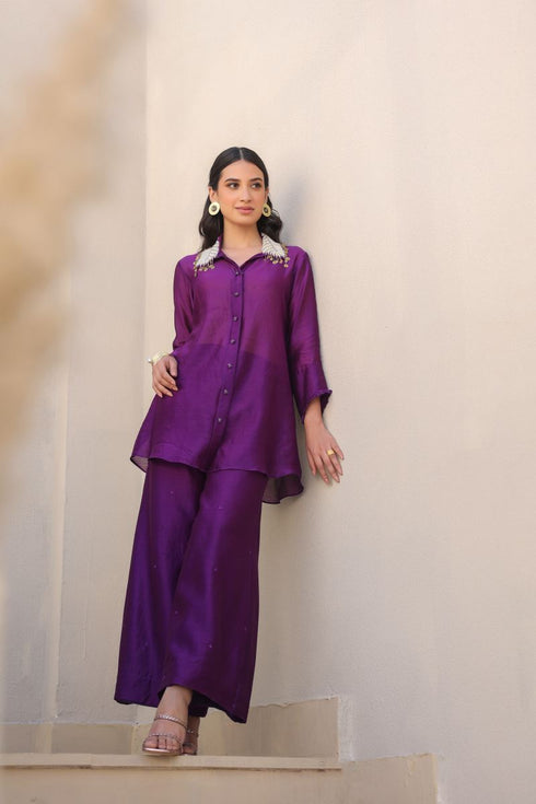 Zardozi pankh co-ord set