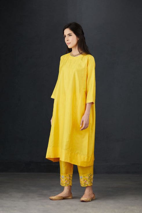 Brih sun hand embroidered silk organza tunic trouser set