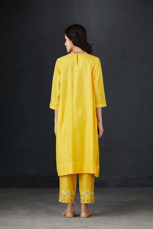 Brih sun hand embroidered silk organza tunic trouser set