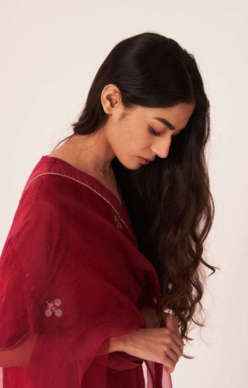 Place The Dot red sharara set