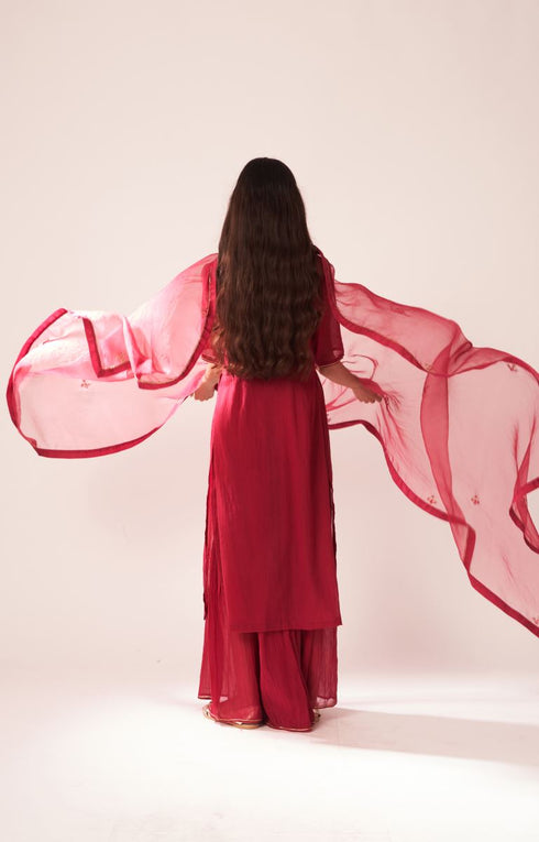 Place The Dot red sharara set