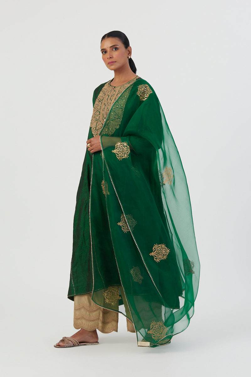 Buy - Deepa green dupatta | Elan Store