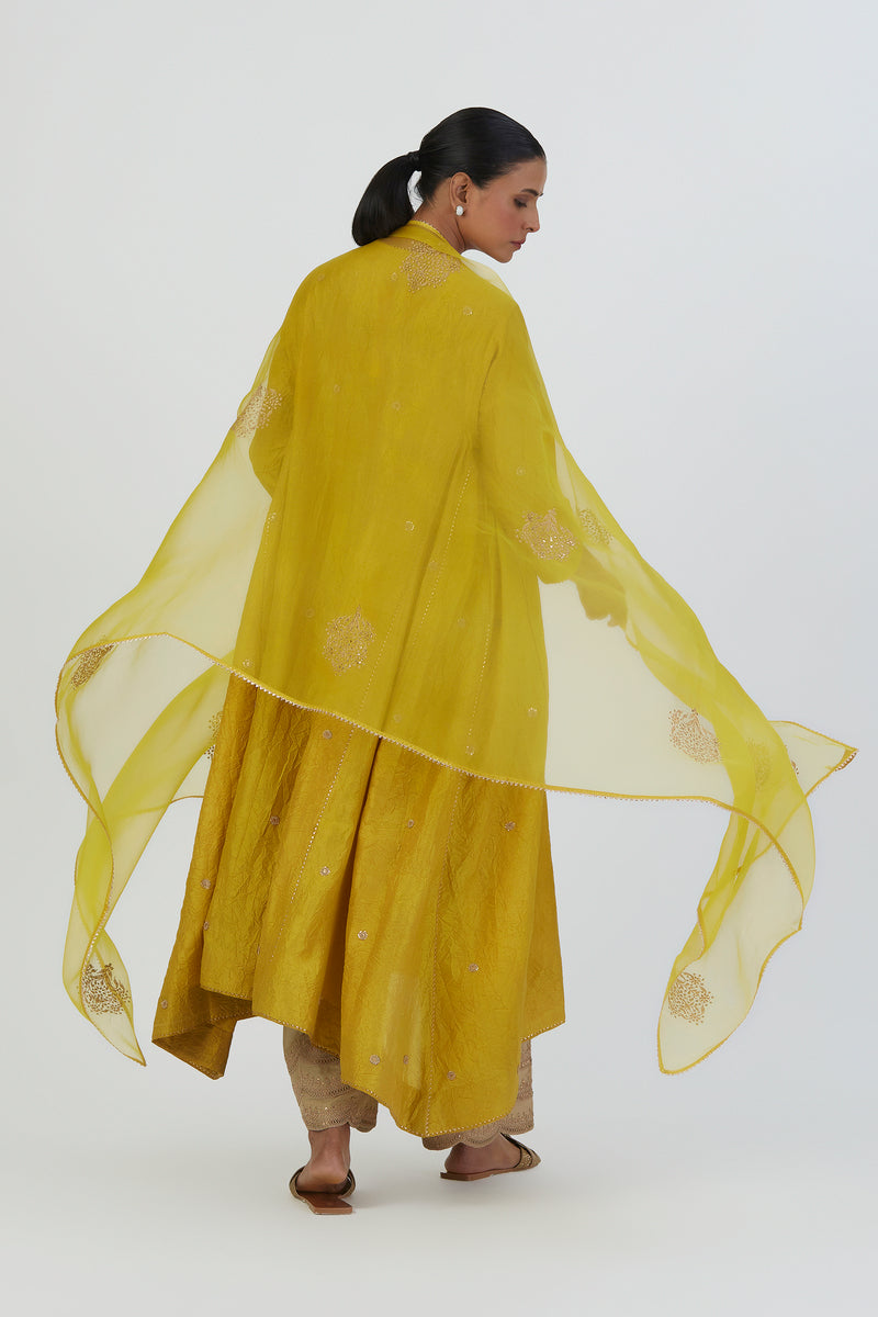 Buy - Deepa lime green dupatta | Elan Store